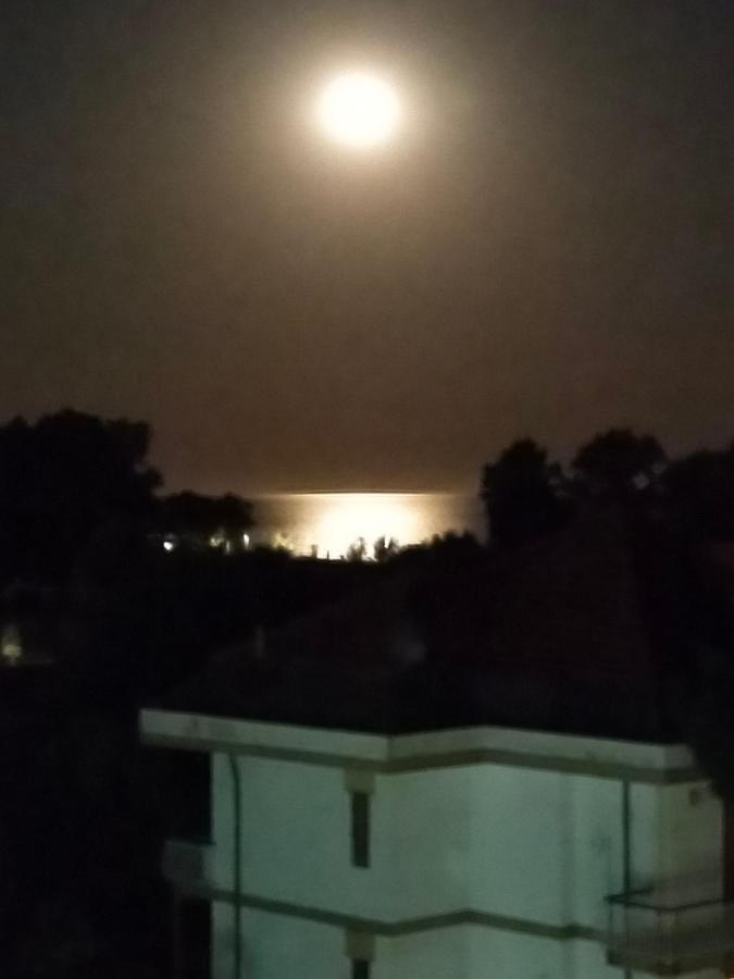 Appartamento Riviera Trilocale Wifi E Parcheggio Privato Ventimiglia Bagian luar foto