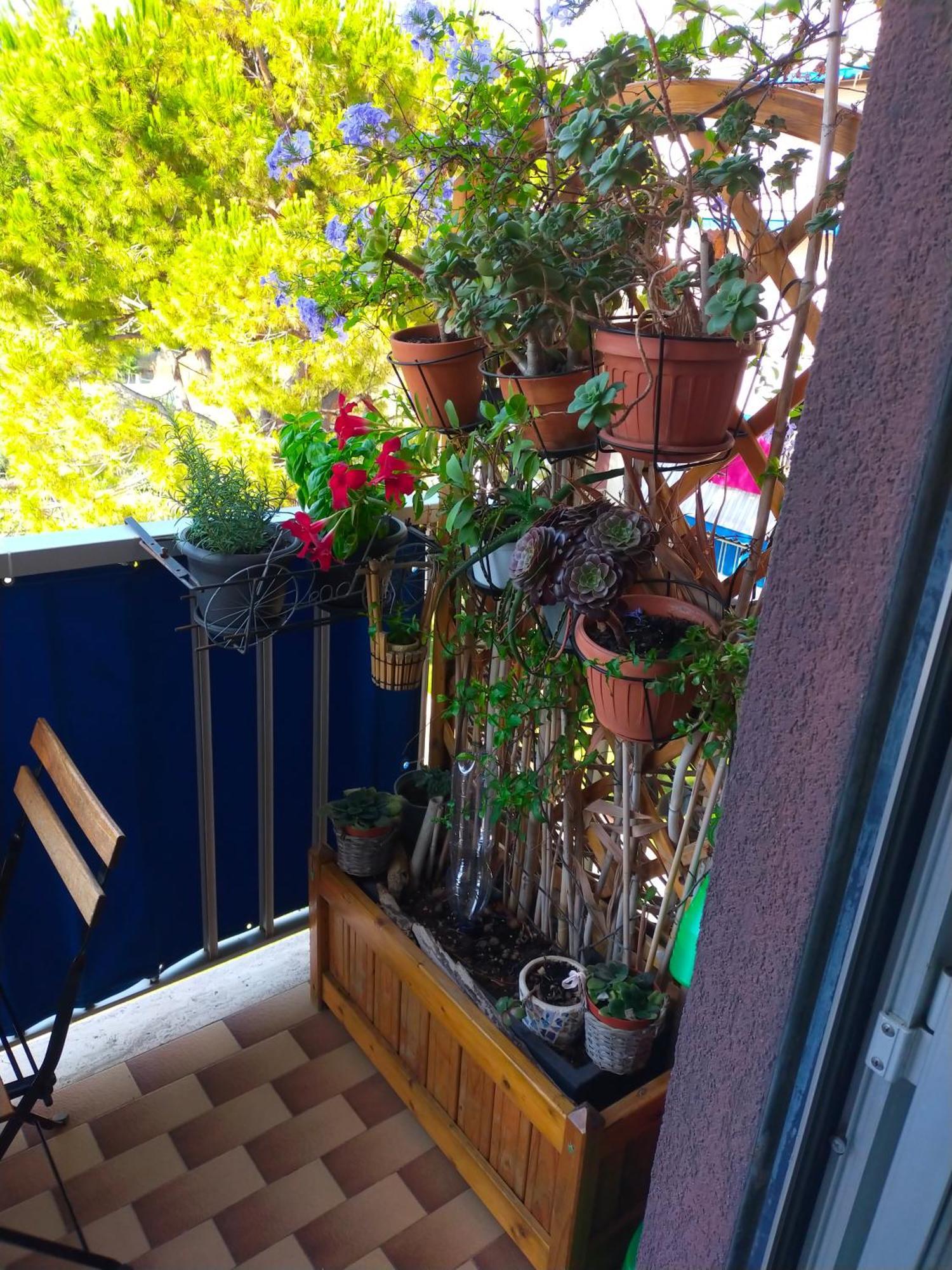 Appartamento Riviera Trilocale Wifi E Parcheggio Privato Ventimiglia Bagian luar foto